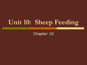 Unit 10: Sheep Feeding