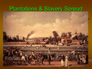 Plantations & Slavery Spread