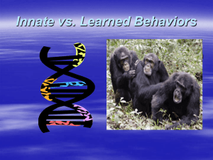 Innate/Learned Behavior Powerpoint