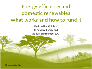 Energy efficiency and domestic renewables