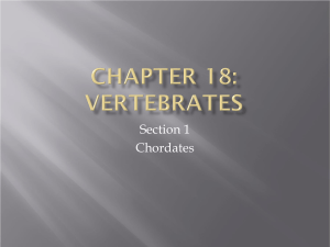 Chapter 18 Section 1 PowerPoint