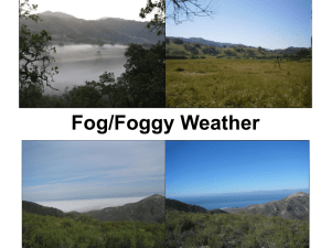 Fog/Foggy Weather