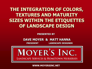 the integration of colors, textures and maturity sizes within