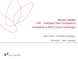 NESSE SBM#6 INTELLIGENT WELL COMPLETIONS IWC