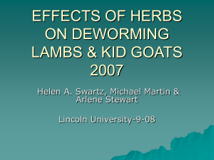 Effects of Herbs on Deworming Lambs and Kid Goats, Lincoln
