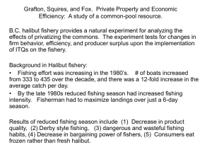 Grafton, Squires, and Fox. Private Property and Economic Efficiency