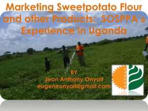 Pres 9 Marketing of Sweet Potato flour +AA