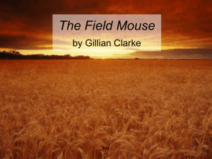The Field Mouse - Biddick Academy