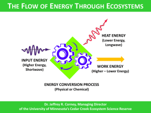 Ecosystem Energy  - Region 11 Math And Science Teacher