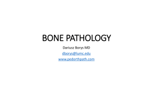 Bone histology
