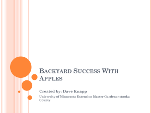 Backyard Success With Apples - University of Minnesota Extension