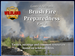 Central Arizona Vegetation Fires