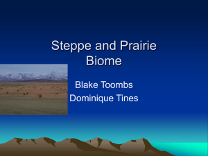 Steppe and Prairie Biome