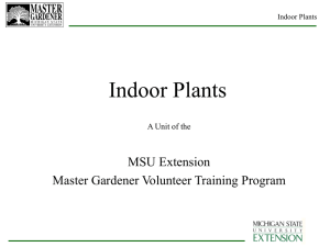 Master Gardener Indoor Plants Unit