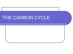 THE CARBON CYCLE - Western Reserve Public Media