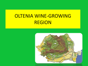 Oltenia wine-growing region