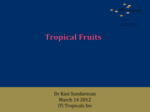 Spring 2012 iTi Tropicals TCJJP Presentation