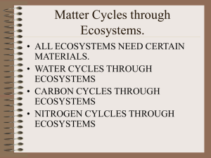 Matter Cycles through Ecosystems.