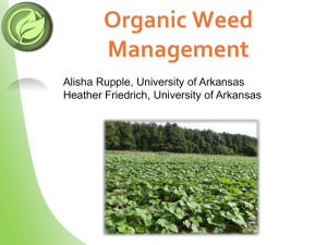 Organic Weed Management - Sustainable Organic Horticulture