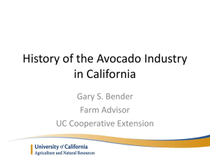 History of the Avocado Industry in California