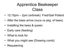 Beginning Beekeeping Class 2013