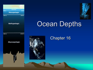 Ocean Depths - biologyclass.net