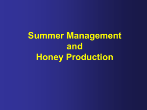 Summer Management by Kevin R. Oldenburg