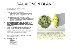 SAUVIGNON BLANC - Maurice Wine Cru