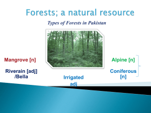 Forests types
