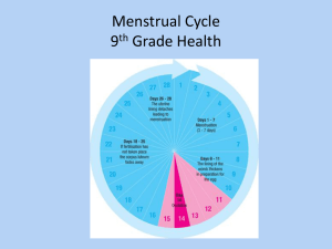 Menstrual Cycle 8th Grade Health