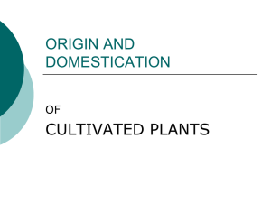 Plant Domestication - Mineral Area College