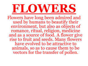 About Flowers - Make Me Genius