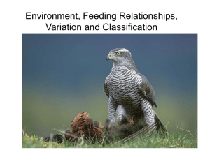 Environment, Feeding Relationships, Variation and