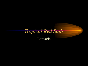 Tropical Red Soils