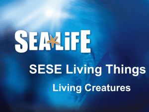 SESE Junior Cycle : Living Creatures