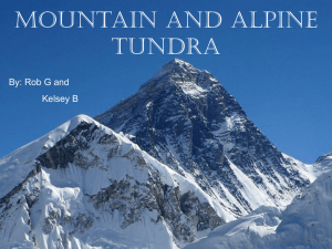 Mountain and Alpine Tundra