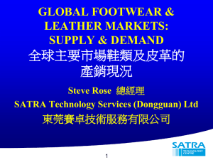 World Footwear Markets 世界鞋類市場