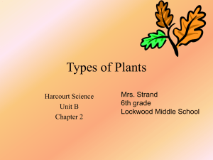 Types of Plants - Lockwood Schools