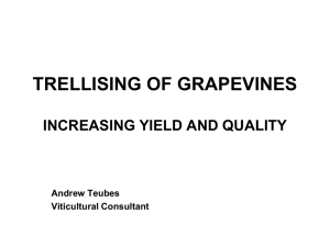 TRELLISING SYSTMES FOR GRAPEVINES