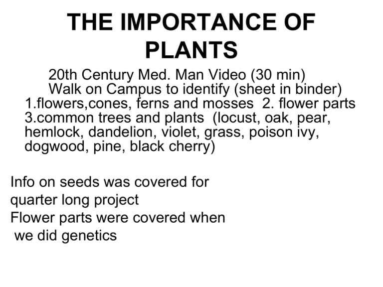 Importance Of Plant Anatomy And Morphology