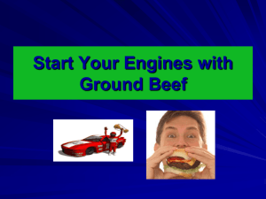 Start Your Engines with Ground Beef
