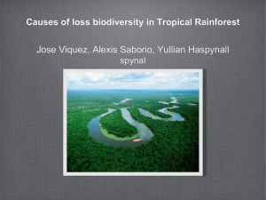 Causes of loss biodiversity in Tropical Rainforest - i