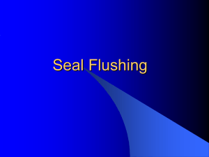 Seal Flushing - Salem M Brothers