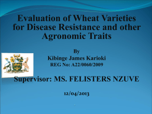 Evaluation of Wheat Varieties for Disease Resistance and other