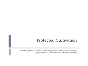 Protected_Cultivation