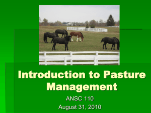 Introduction to Pasture Management