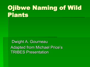 CYCLES_Ojibwe_Plant_Names