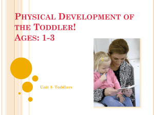 Physical Development of the Toddler!