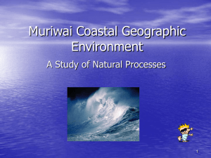 Muriwai Coastal Geographic Environment
