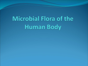 Microbial Flora of the Human Body